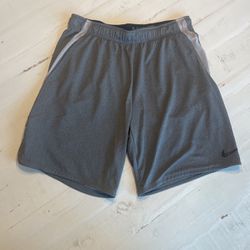 Dry-fit Shorts