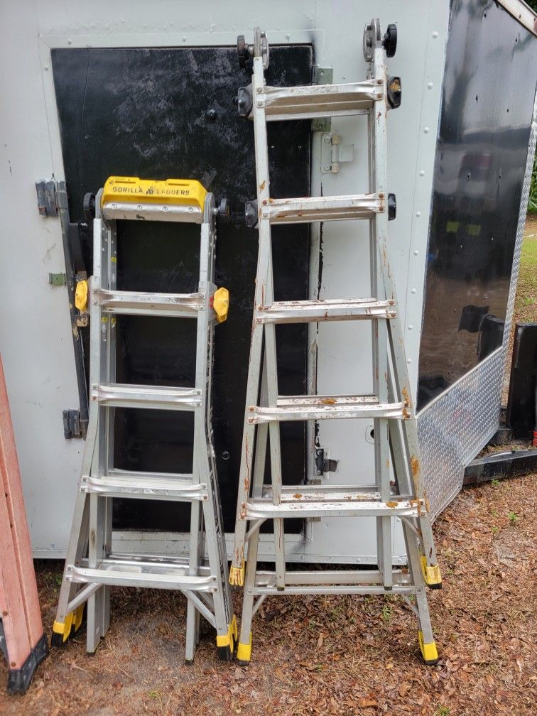 Gorilla And A Frame Ladders