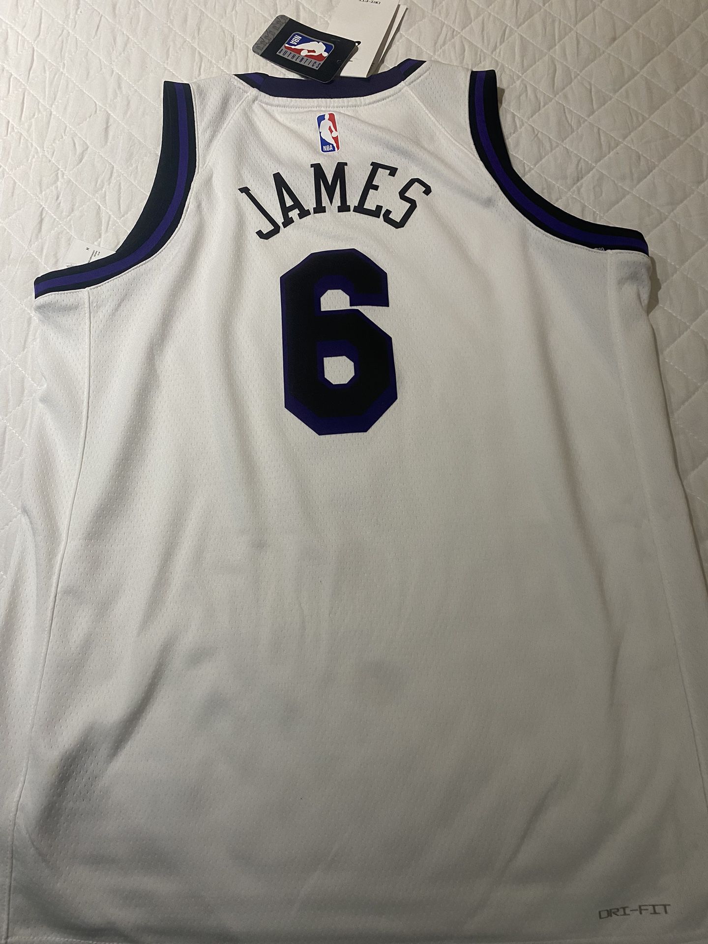 Youth LeBron James Los Angeles Lakers Jerseys for Sale in Crystal City, CA  - OfferUp