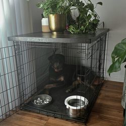 Dog Kennel