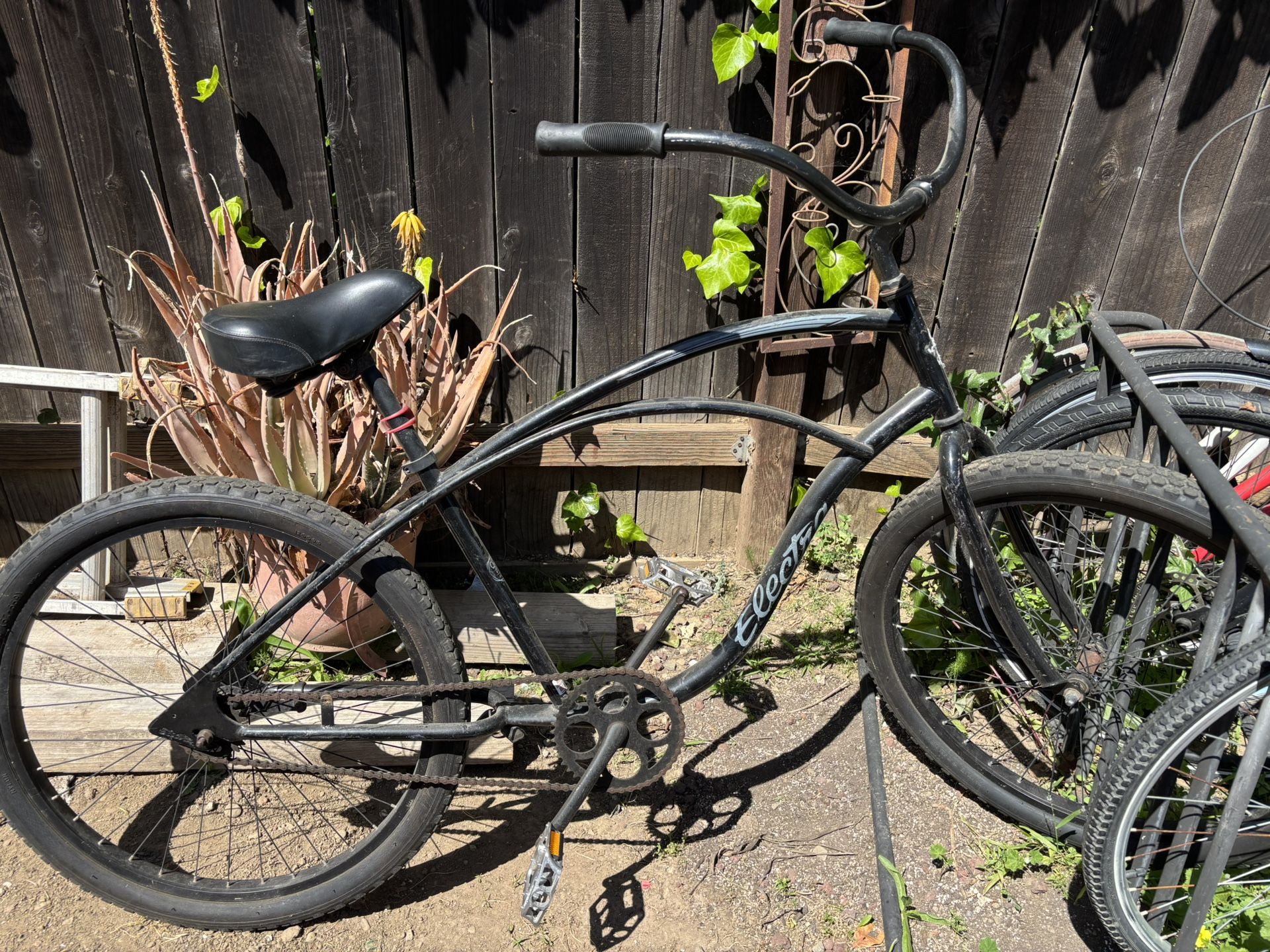Beach Cruiser