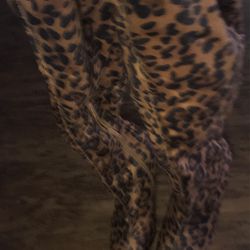Brand New FN Cheeta Boots