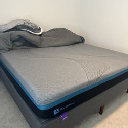 King memory foam mattress and purple king platform