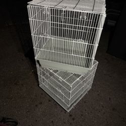 Bird Cages