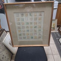 16x18 Shell and Marine Life