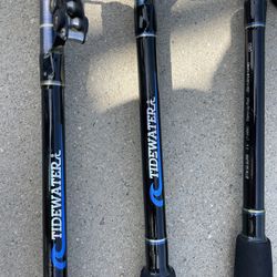 Shakespeare Tidewater Big water Stand Up Casting Rod