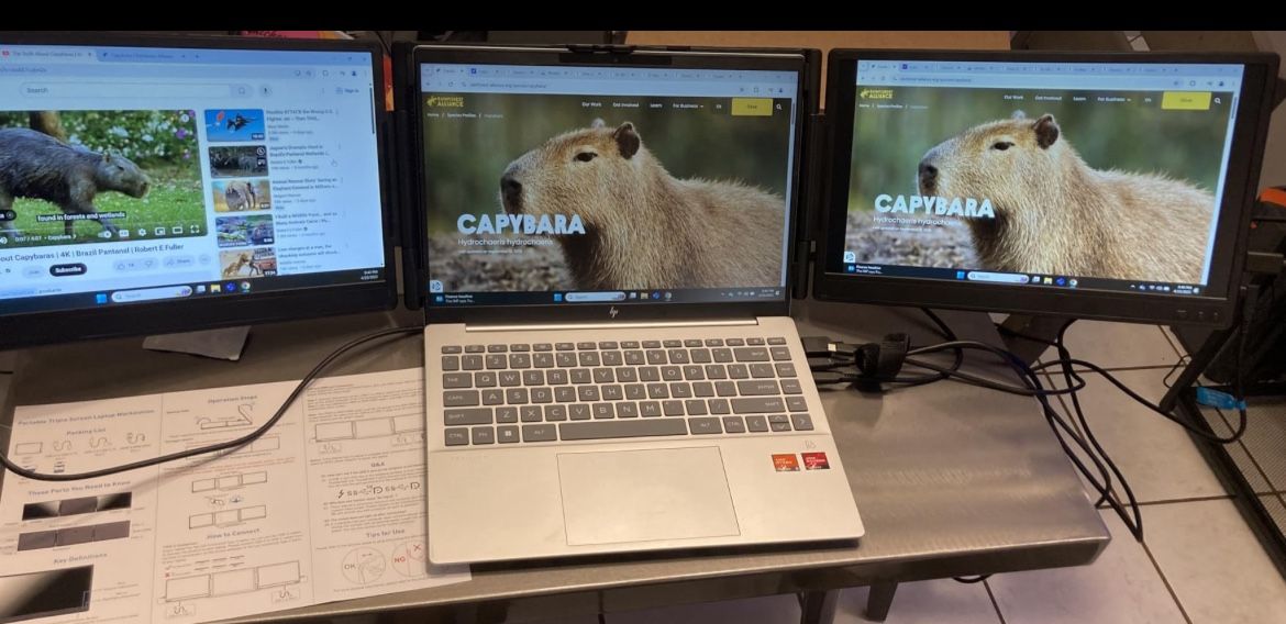 Laptop Screen Extender, 14" FHD 1080P Triple Portable Monitor