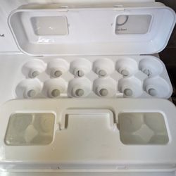  Bakelicious Cupcake Holder Carton,