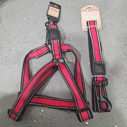 Brand new REFLECTIVE dog leash & collar for M & S dogs