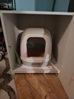 house  cat
