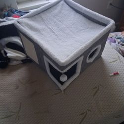 cat bed