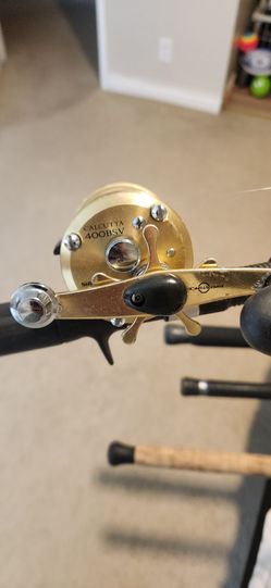 Calcutta 400bsv