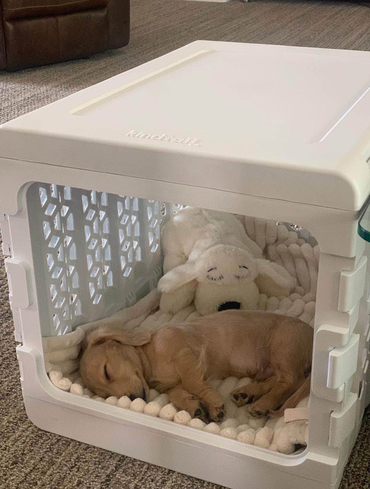Gorgeous Dog Crate!