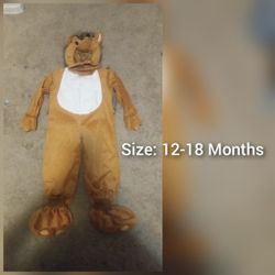 Hedgehog Costume 