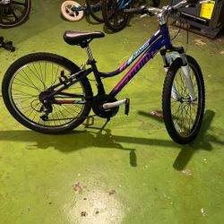 Schwinn 24” Kids Bike