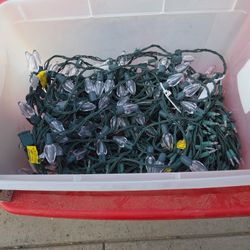 Box Of Christmas Lights 