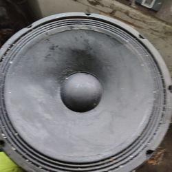 800w 15 In Low Frequency Transducer 