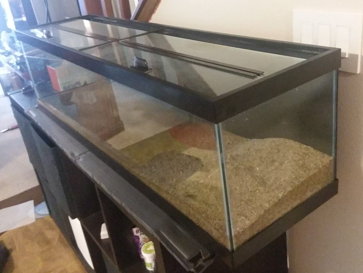 33 gallon long aquarium