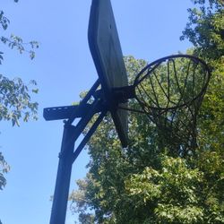 Full Sized Basketball Hoop