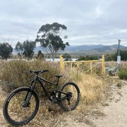 Giant Trance Mountain Bike
