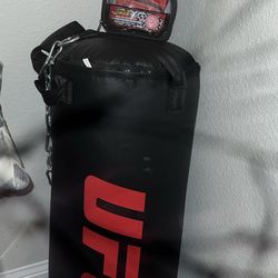UFC Punching Bag And Gloves