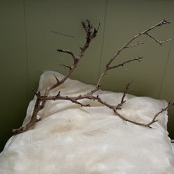 Aquarium Decoration 