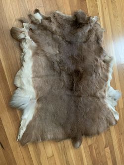 Deer Skin