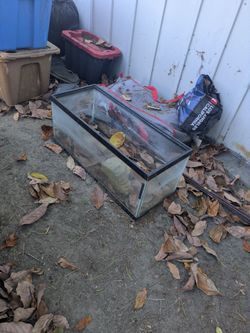 20g long aquarium/tank