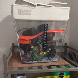 Fish Tank 