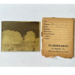 Antique Glass Plate Negative House Property Trees NY Early 1900s 5 X 4 Inch
