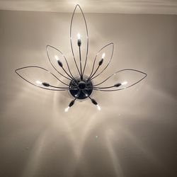 Light Fixture. Wall Mount 