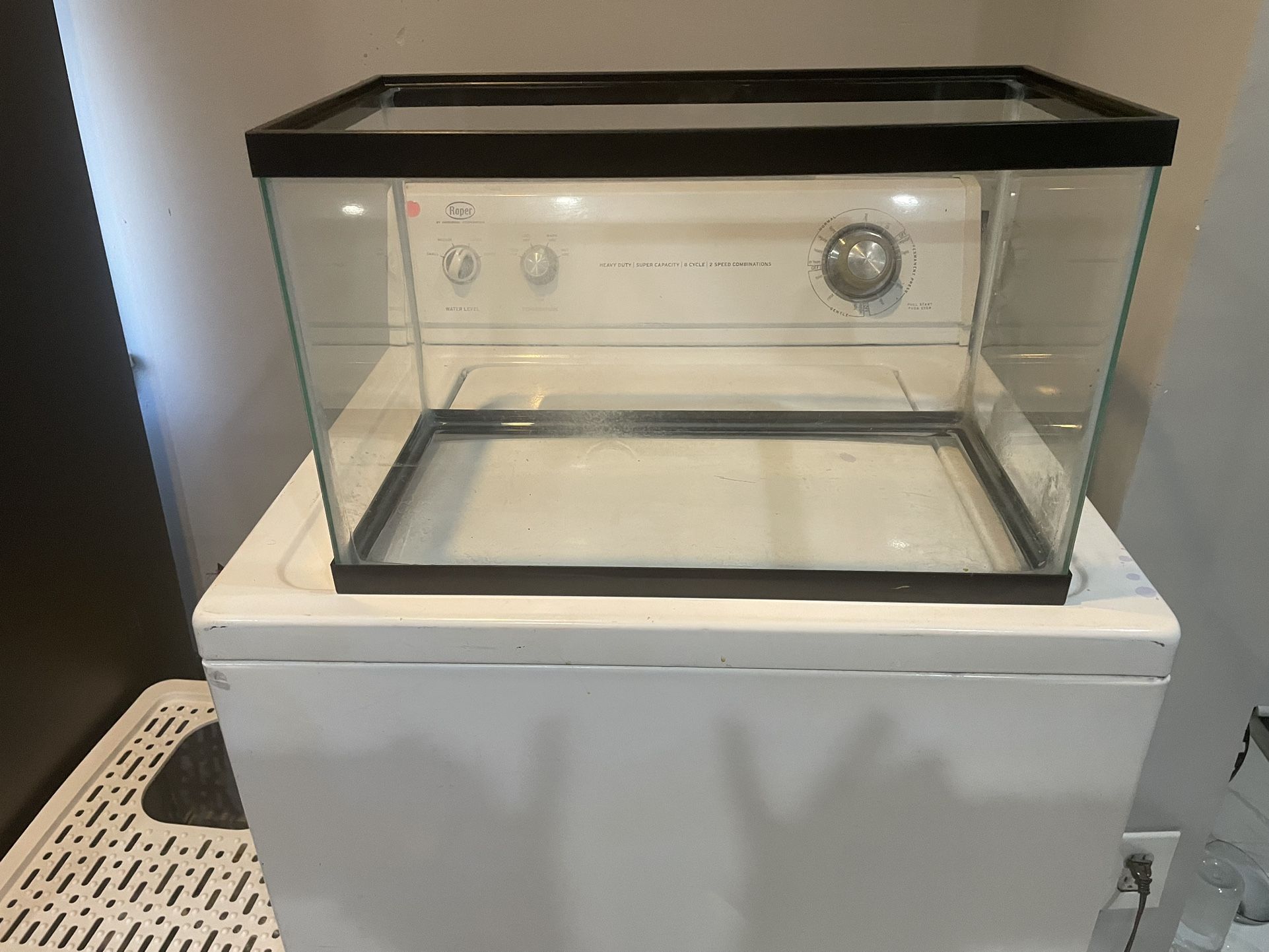 Turtle Tank