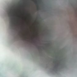 I Can Build A Project Bike For You, But You Have To Have The Parts