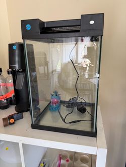 10 Gallon Glass Aquarium with LED Top