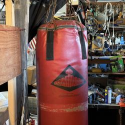 Century Hanging Punching Bag