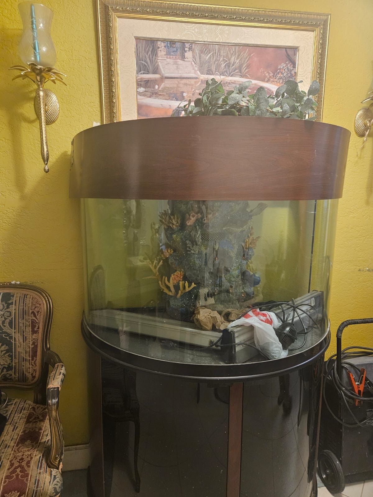 Fish Tank