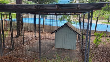 Dog kennel new