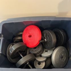Dumbbells 