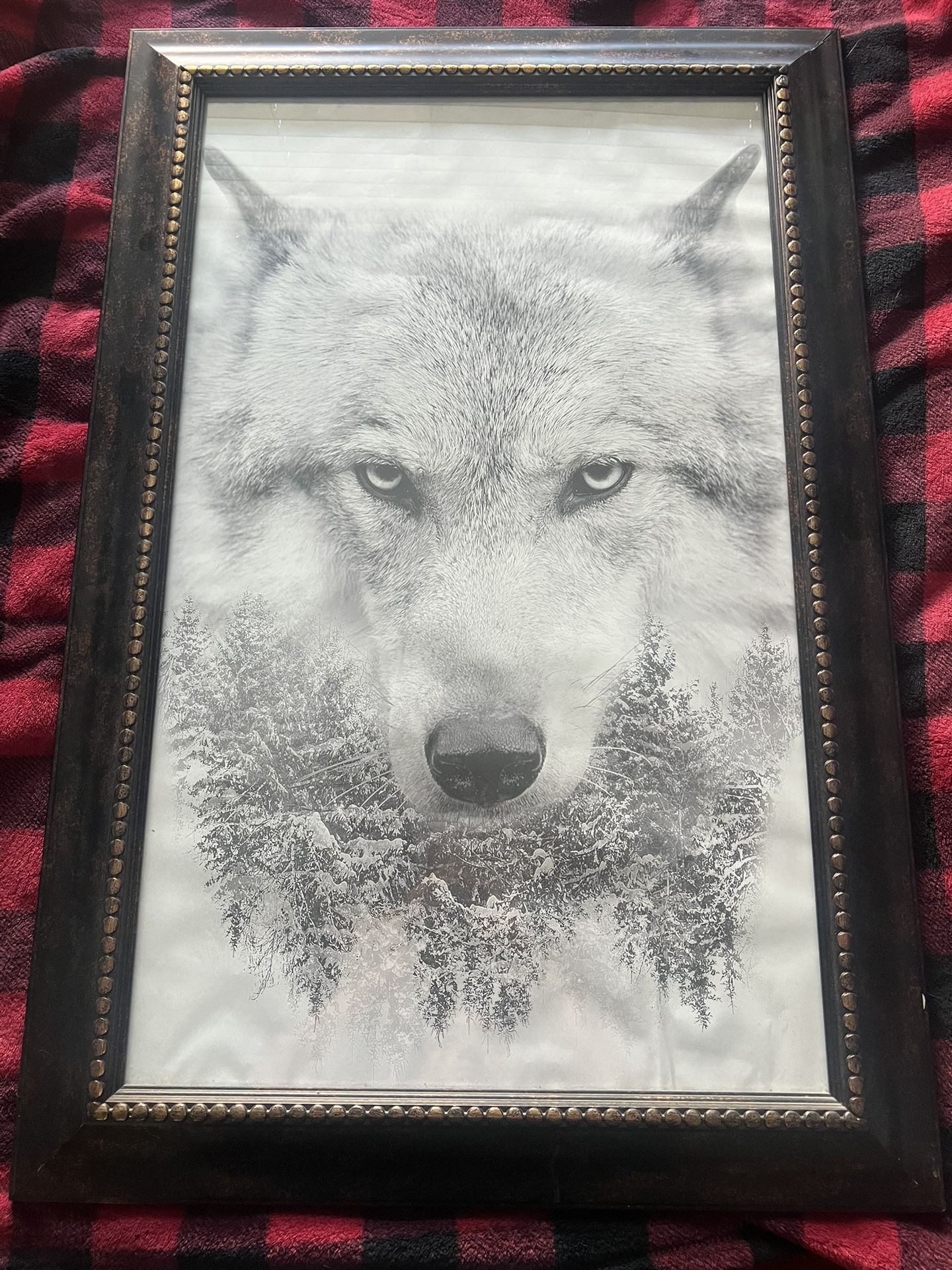 Large Wolf Portrait Brown Framing
