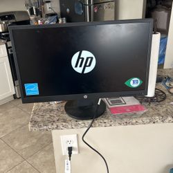 HP COMPUTER MONITOR 