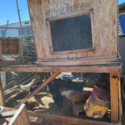Chicken Coop. 2 Pieces