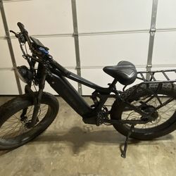 Electric Bike