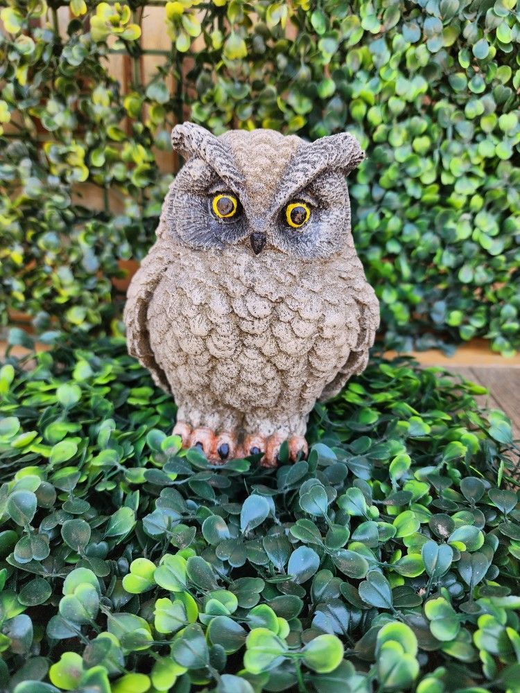 Owls For Sale