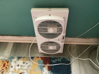 Fans