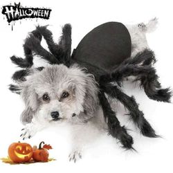 Spider Animal Halloween Costume 