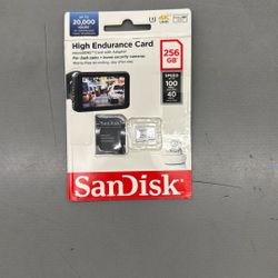 256 Gb SD card 