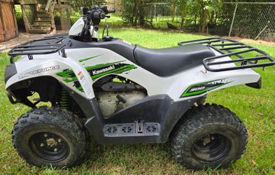 Kawasaki Brute Force 300 ATV