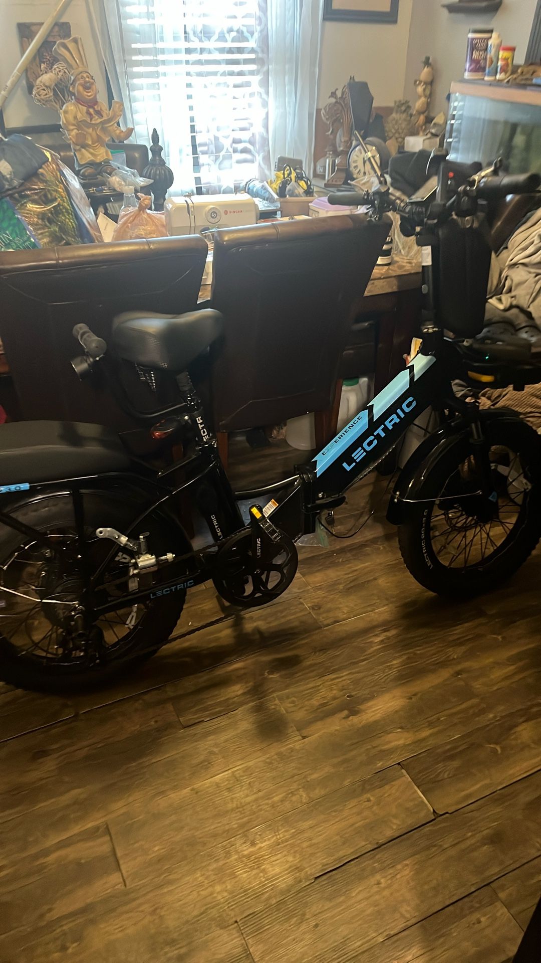Electric 3.0 Bike