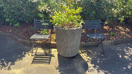 Outdoor Chairs 32in height