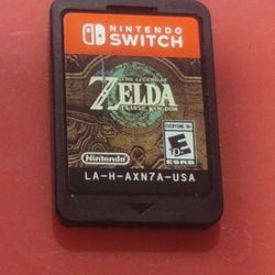 NINTENDO SWITCH ZELDA TEARS OF THE KINGDOM 